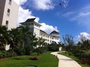 Secrets Wild Orchid 