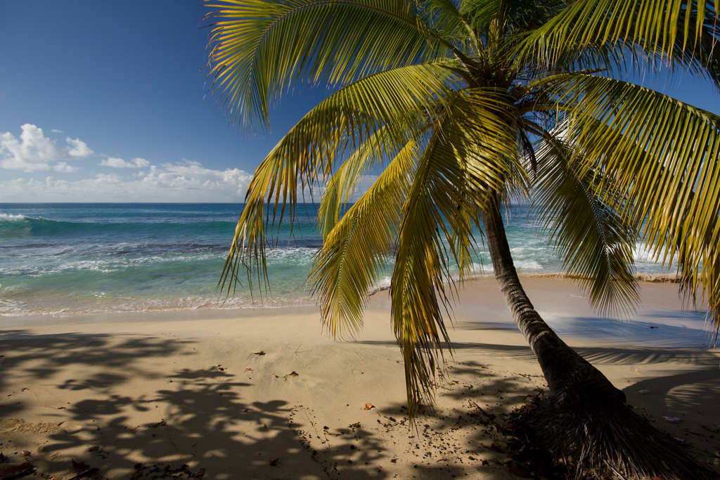 More beautiful beaches of Grenada