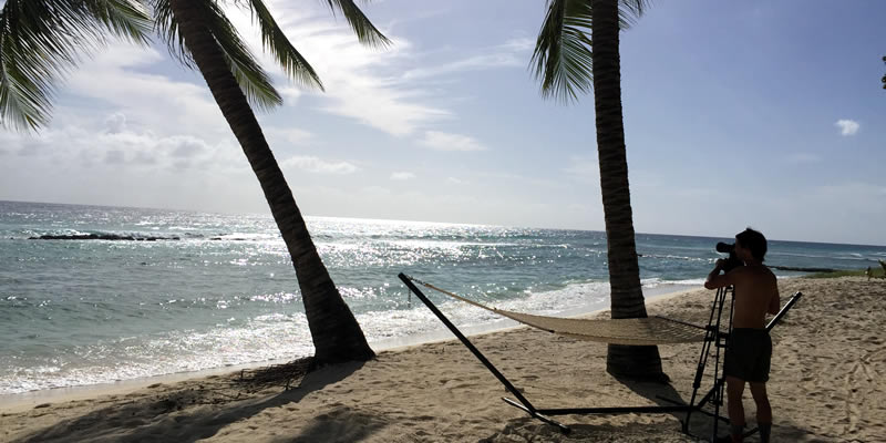 Stunning Sugar Bay Beach Barbados