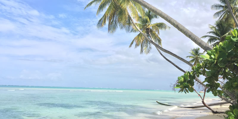 Travel blog: The Essential Travel Guide to Tobago