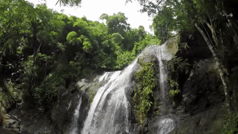 Argyle Waterfalls GIF