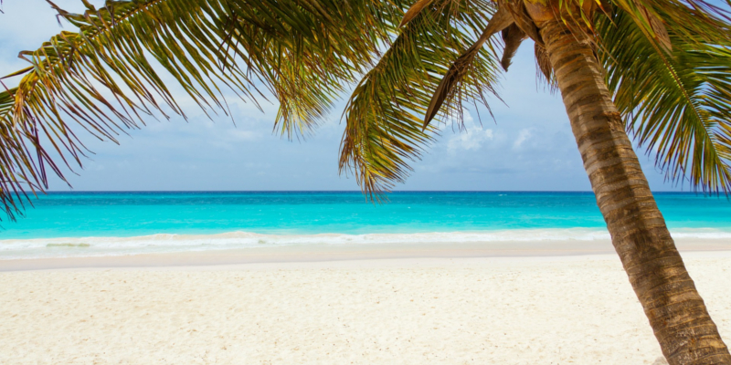 Travel blog: Top 5 Excursions: Antigua