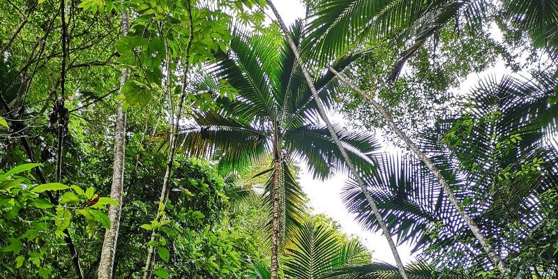 Tobago caribbean warehouse