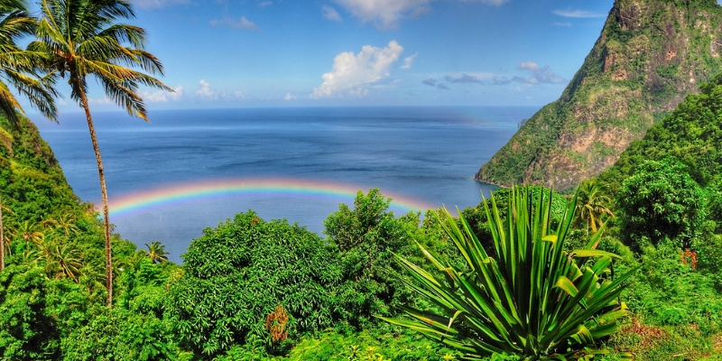 St Lucia with foliage and rainbow