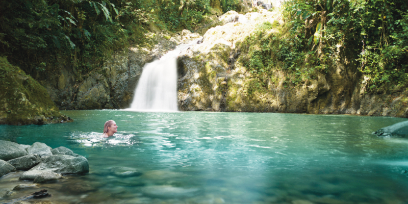 tobago waterfall with Caribbean Warehouse