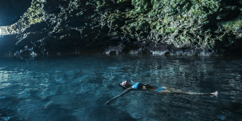 Animal Flower Cave Barbados, Caribbean Warehouse