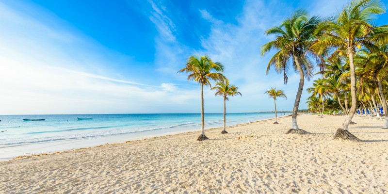 A soft sandy beach in the Caribbean with swaying palms