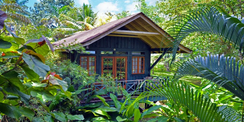 treehouse-style rooms