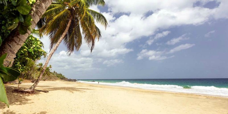 Tobago Beach