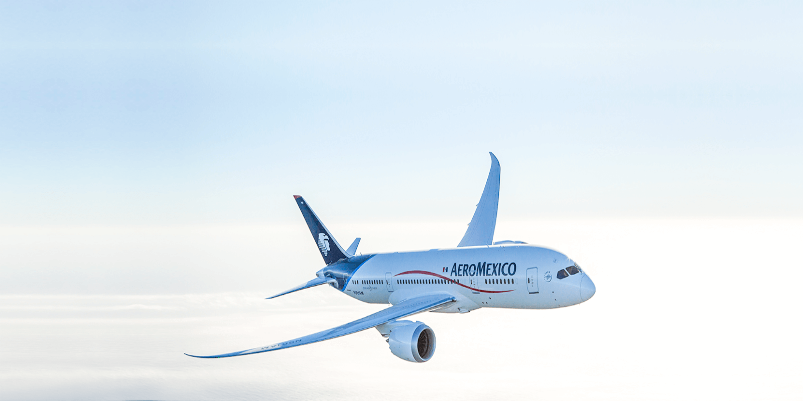 AeroMexico flight