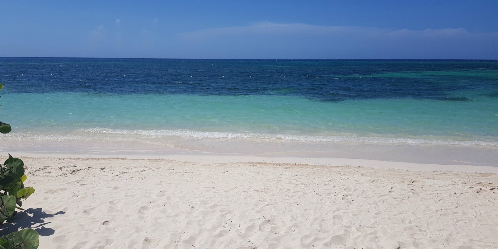 Travel blog: Alice Explores Jamaica’s Excursions