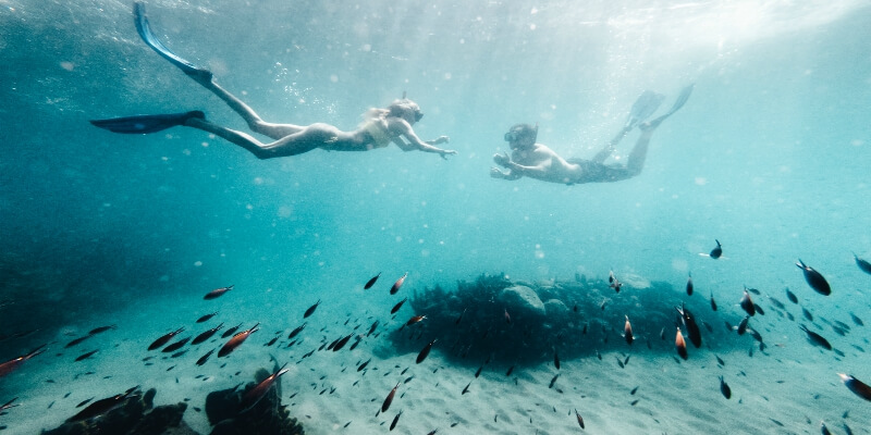 Two people snorkelling
