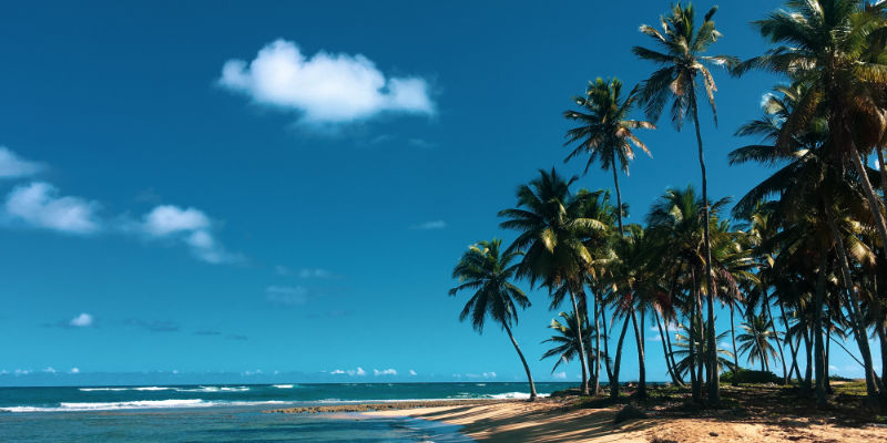 Palm-thronged beaches