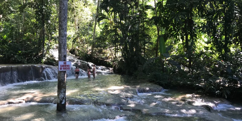 People talking in water of Dunn's River Falls in Jamaica