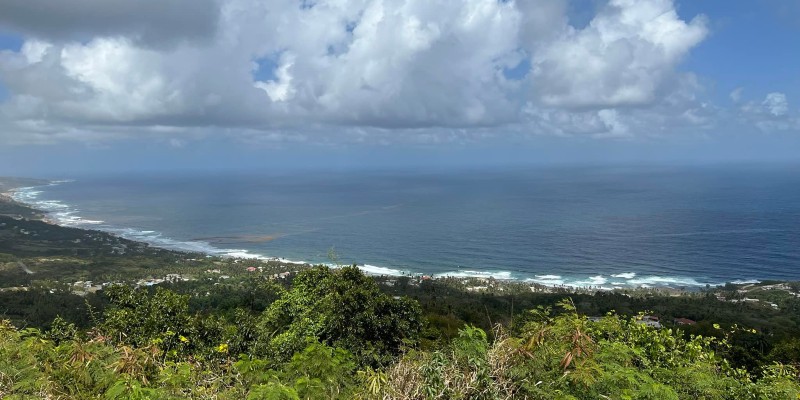 Views of the more rugged east side of Barbados