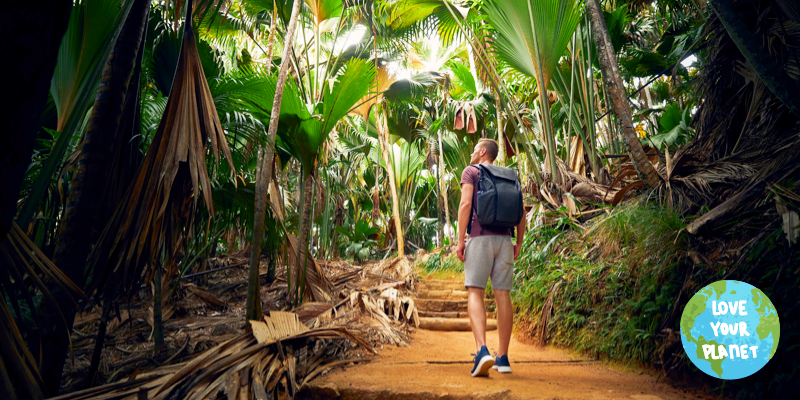 Man walking through the jungle