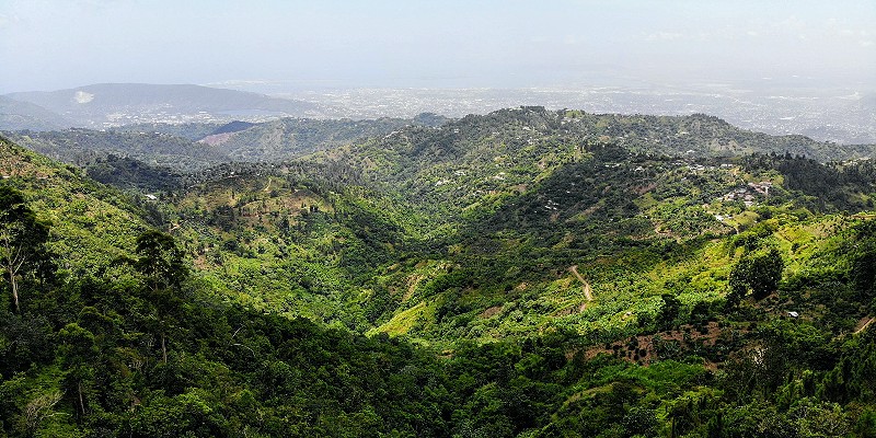 View from the Blue Mountains in Jamaica