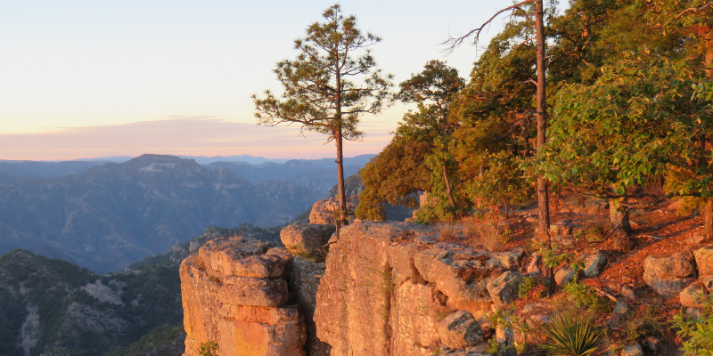 Copper Canyon at sunrise