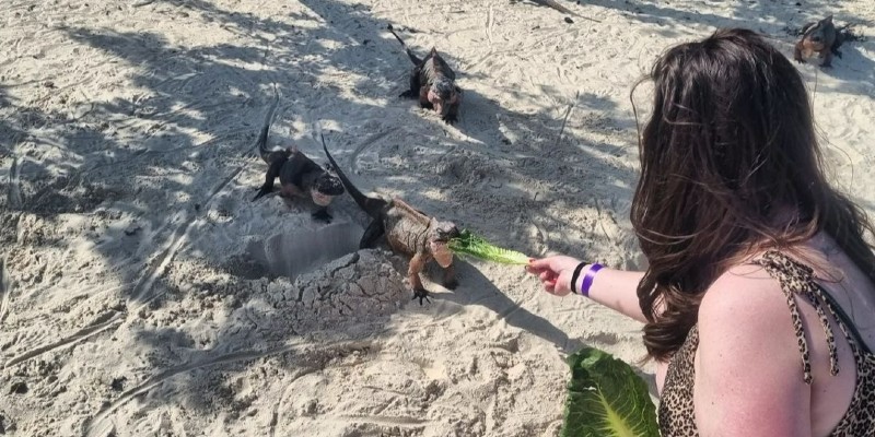 Woman feeding iguanas in Bahamas