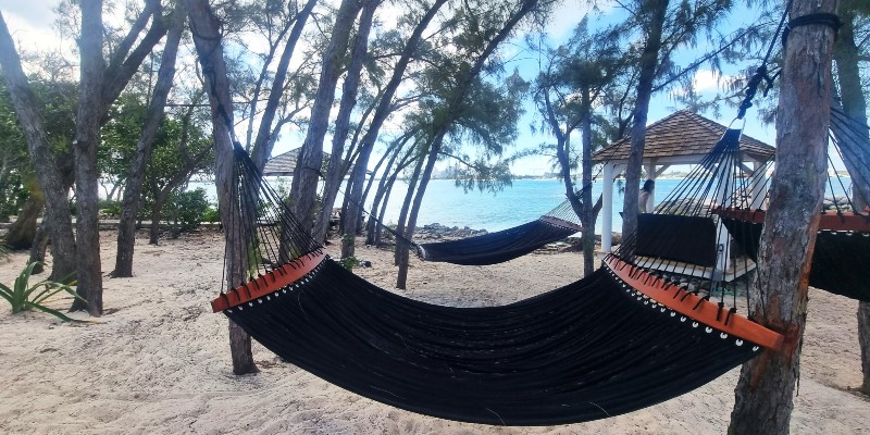 beach hammocks