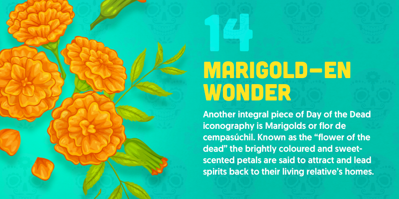 Marigolds or flor de cempasúchil. Known as the “flower of the dead” so they were a natural choice for Day of the Dead