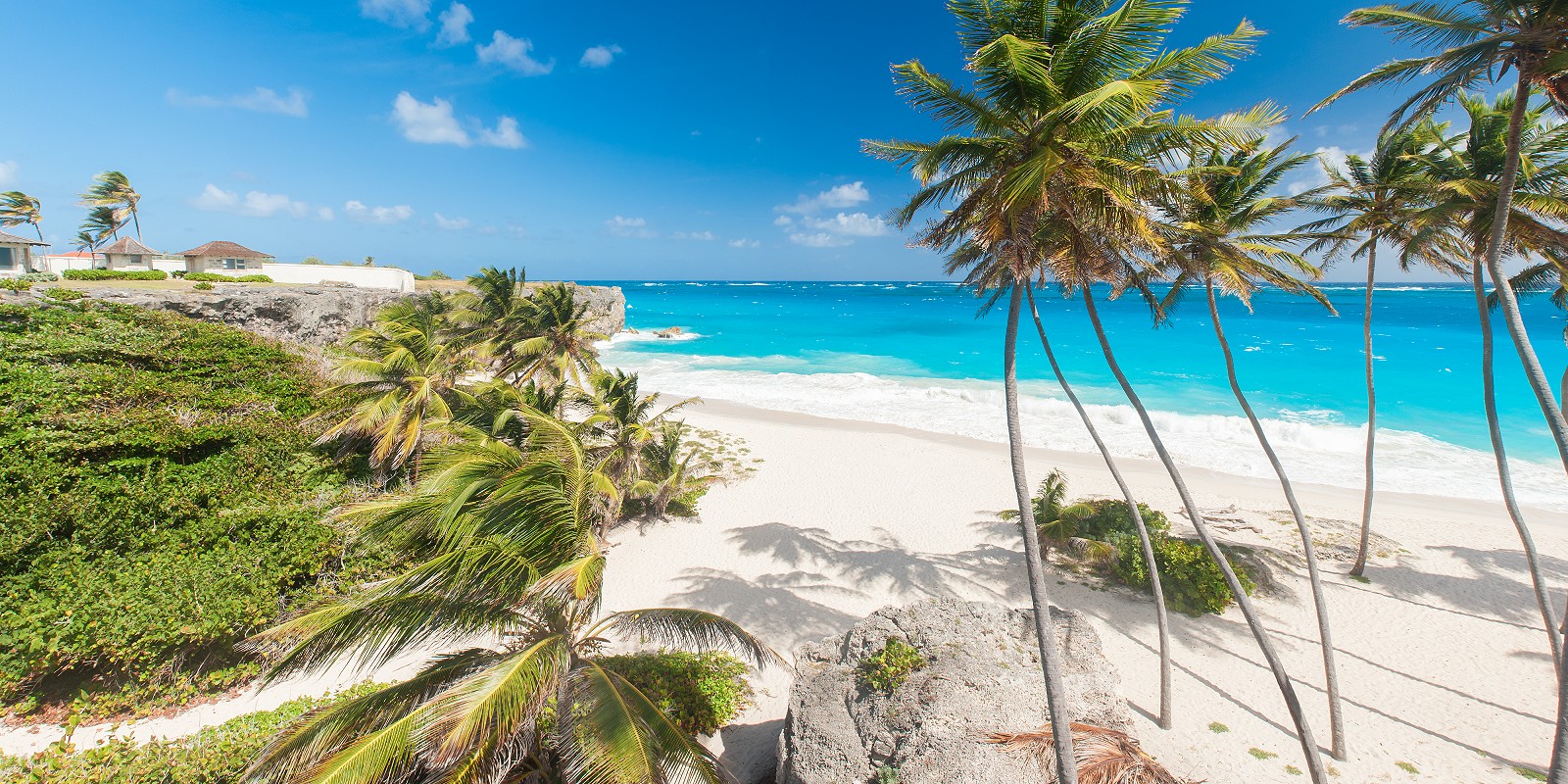 Travel blog: 7 Reasons You Need to Experience a Barbados Island Safari