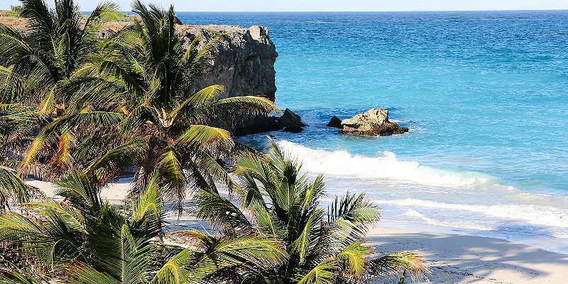 You can uncover the coastline on a Barbados island safari
